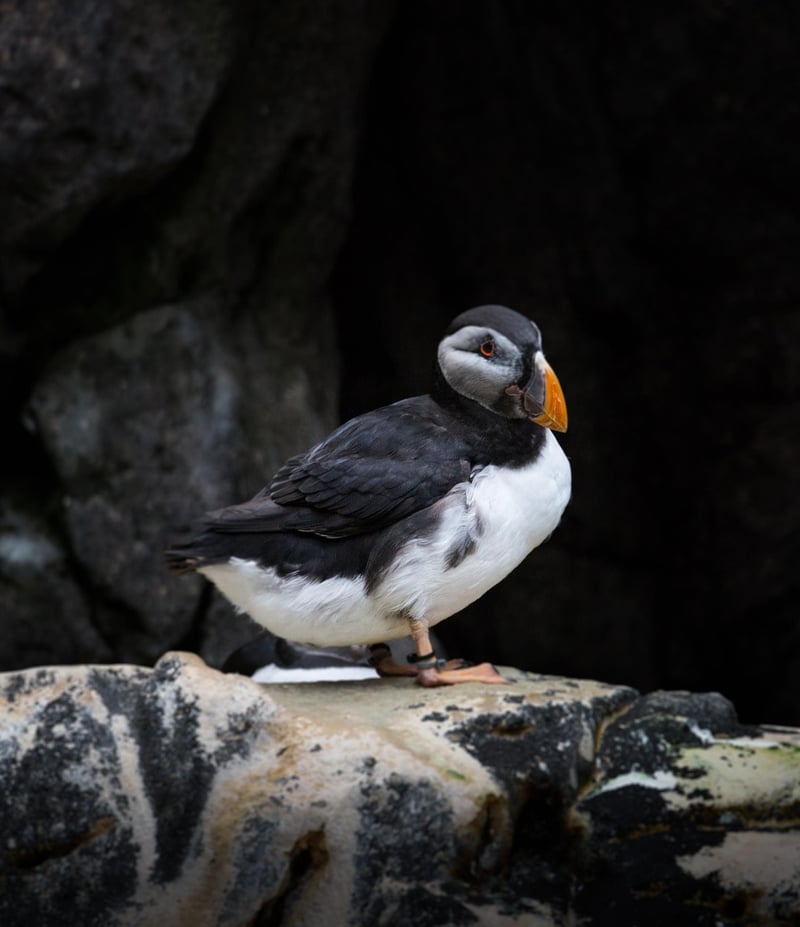 Wildlife Sanctuaries